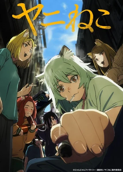 مشاهدة انمي Yani Neko الحلقة 11 مترجمة