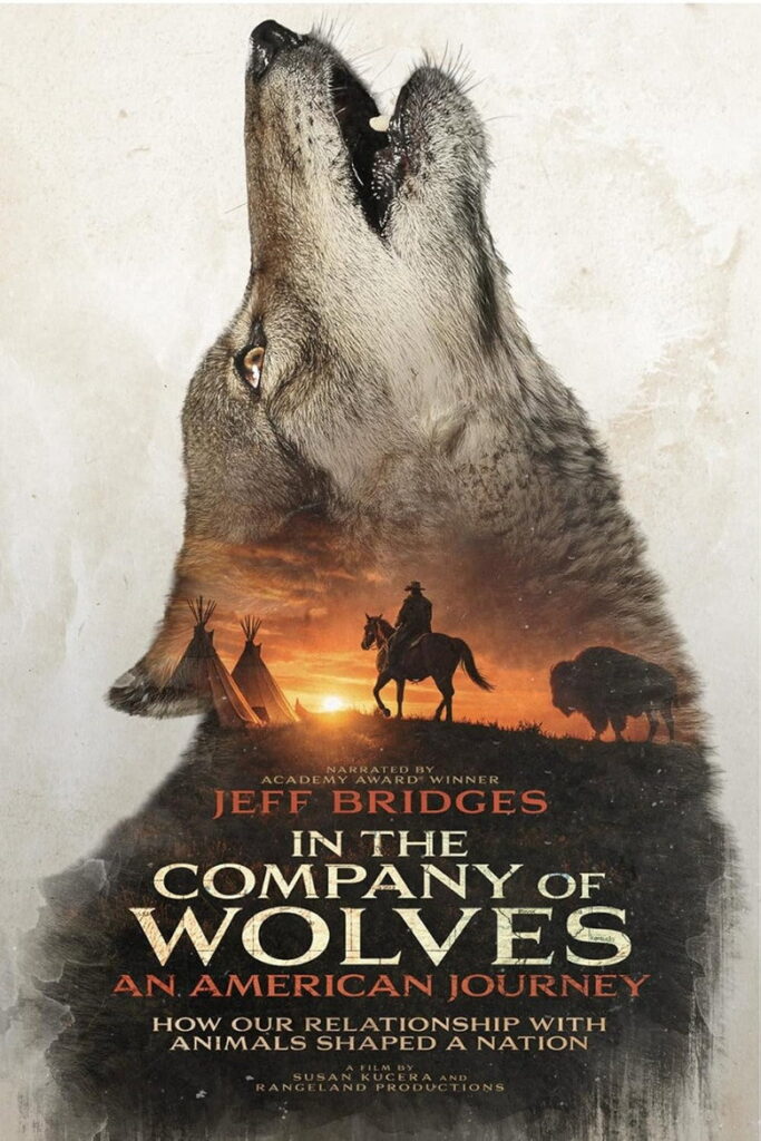 مشاهدة فيلم In The Company Of Wolves An American Journey 2026 مترجم  اونلاين